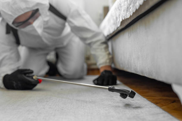 Professional Pest Control technician working in Colorado City, AZ