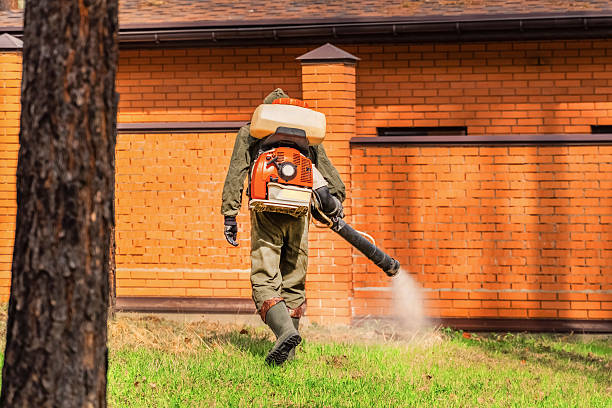 Trusted Rodent Control service in Colorado City, AZ - Nex Pest Control